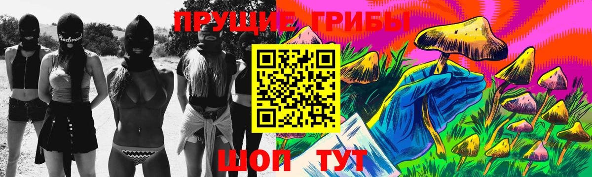Псилоцибиновые грибы мицелий Осинники