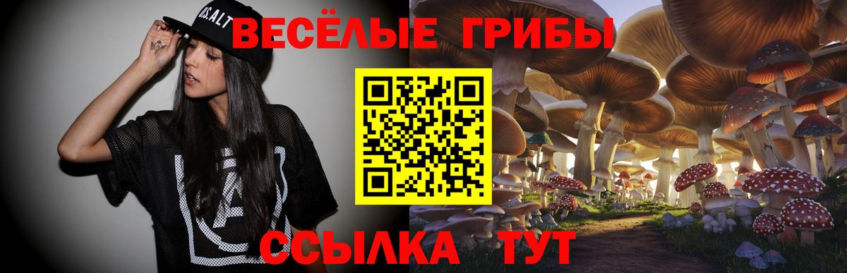 Галлюциногенные грибы Magic Shrooms  Вход с VPN  Осинники  Псилоцибиновые грибы прущие грибы 
